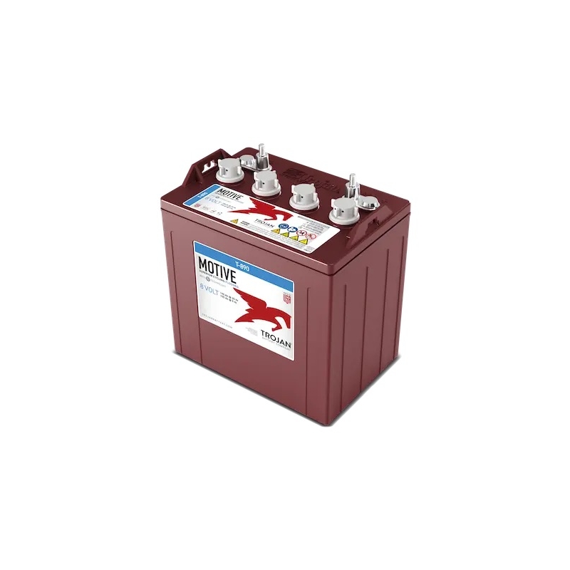 Batterie Deep-Cycle TROJAN T-890 - 8V 190Ah