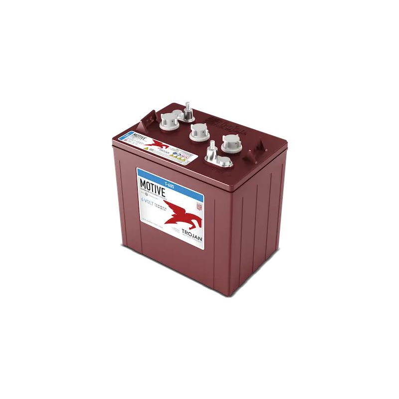 Batterie Deep-Cycle TROJAN T-605 6V 210Ah