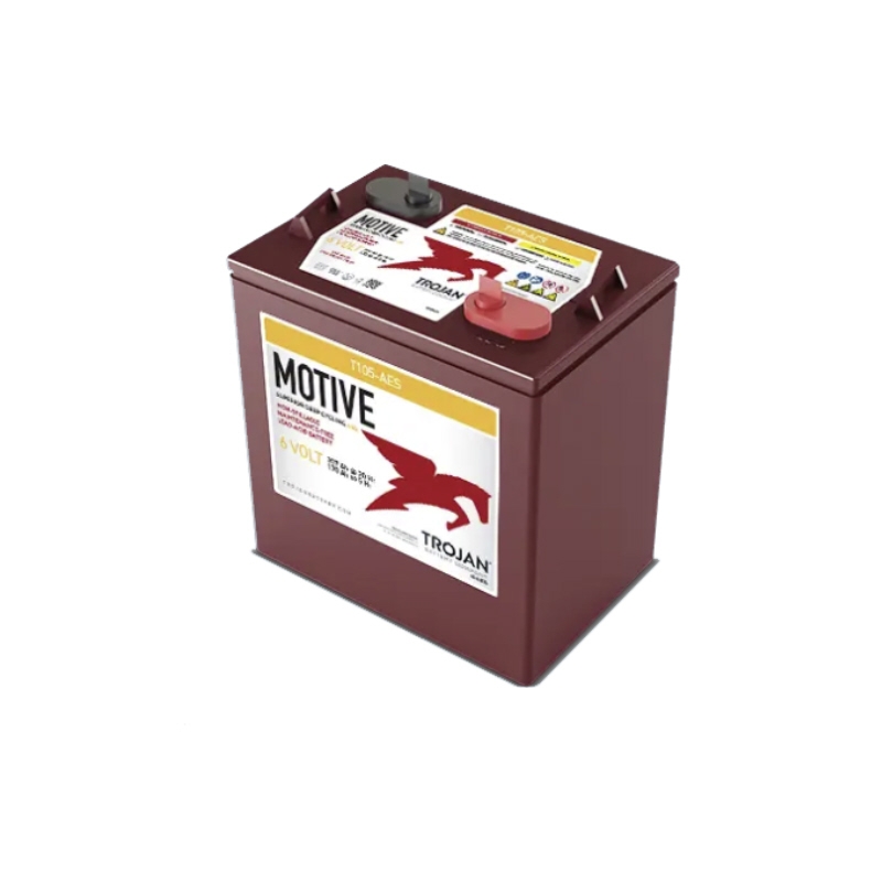 Batterie AES TROJAN T105-AES-AP 6V 207Ah