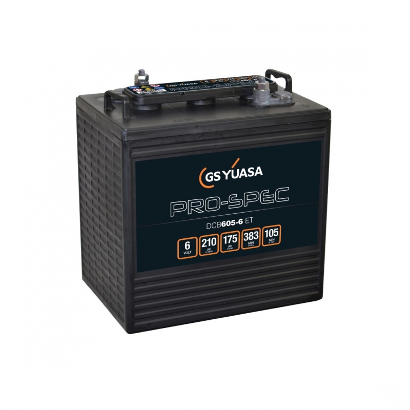 Batterie Deep-Cycle YUASA DCB605-6 6V 210Ah (C20) - photo produit