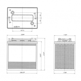 Batterie Deep-Cycle YUASA DCB125-6 6V 240Ah (C20) - schema dimensions